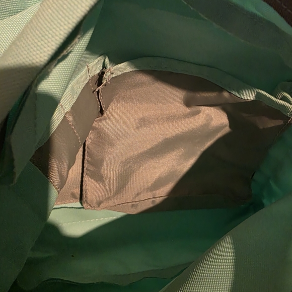 Jansport Mint Green Everyday Backpack for Men - Picture 3 of 4